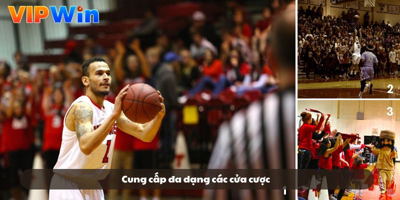 Cung cấp đa dạng các cửa cược Cung cấp đa dạng các cửa cược